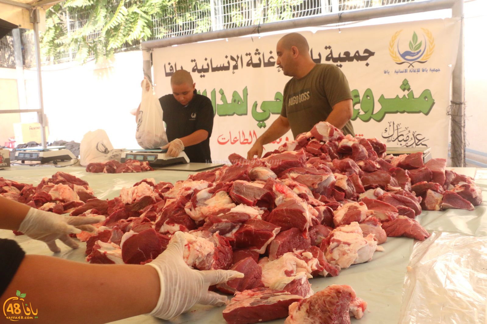 lo7om jam3iya u3 (10).jpg